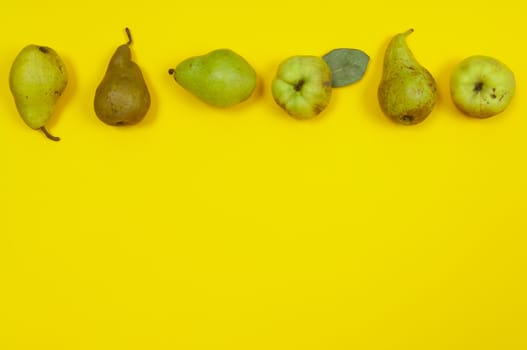 Pears and quince in row on yellow background with copy space
