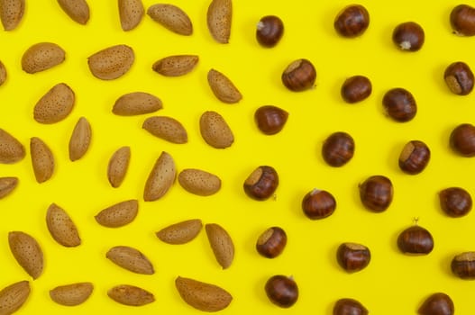 Setting of in shell almonds, chestnuts and hazelnuts on yellow background top view