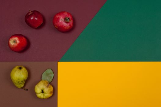 Organic autumn fruits and nuts isolated on split background with copy space
