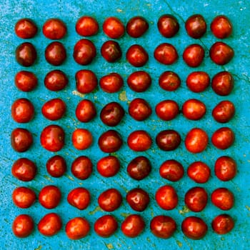 Square arrangement of ripe cherries on blue textrured background, cherry pattern