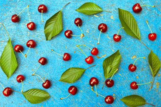 Cherry, cherries with cherry leaves on textured light blue background, top view
