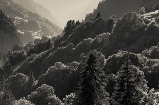 The Alps in Switzerland, high peaks steep valleys, Swiss Alps in Berner Oberland