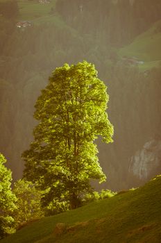 The Alps in Switzerland, high peaks steep valleys, Swiss Alps in Berner Oberland
