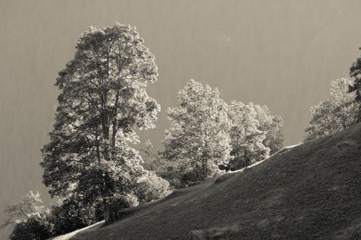 The Alps in Switzerland, high peaks steep valleys, Swiss Alps in Berner Oberland