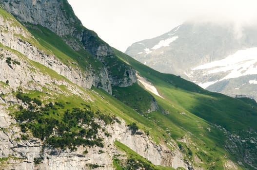 Switzerland, Swiss mountain, Alps in Berner Oberland