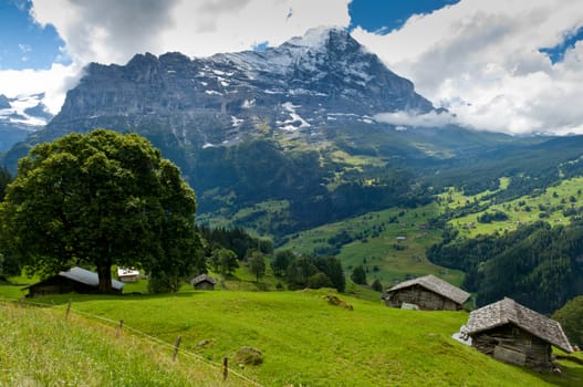 Switzerland, Swiss mountain, Alps in Berner Oberland