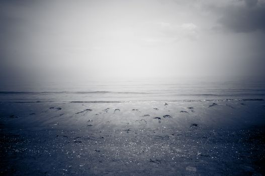 Seebad, Beach near Binz, Ruegen, Rugen Island, Insel,  Germany, Deutschland