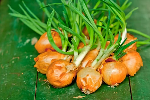 Pile of onions on a green table