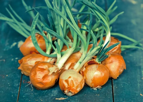 Pile of onions on a green table