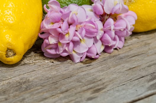 Raw textured wood Background backdrop with lemon and lime and copy space outdoor