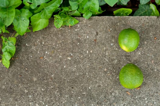 Raw textured grey stone Background backdrop with lemon and lime and copy space outdoor