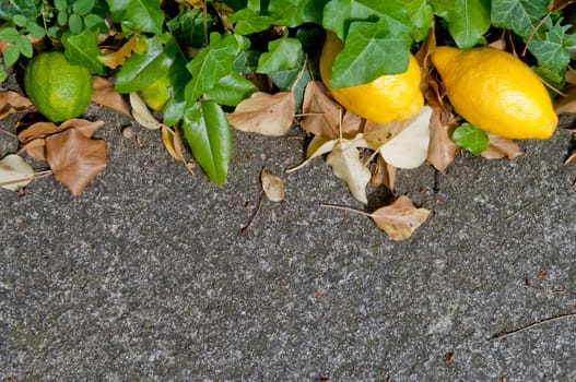 Raw textured grey stone Background backdrop with lemon and lime and copy space outdoor