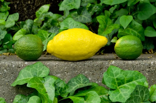 Raw textured grey stone Background backdrop with lemon and lime and copy space outdoor