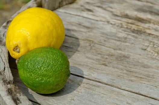 Raw textured wood Background backdrop with lemon and lime and copy space outdoor