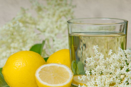 flowers elderberry Sambucus nigra and elderberry flower drink fresh raw