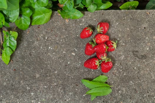 Delicious ripe strawberry  on grey stone flat lay Healthy fruit eating Top view