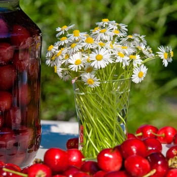 Fresh Cherry bottled cherry and daisy flowers on table in spring or summer sunny