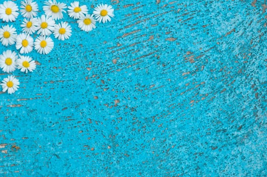 Light blue old textured background with daisy flowers turquoise background vintage top view