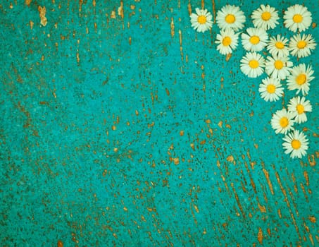 Light blue old textured background with daisy flowers turquoise background vintage top view