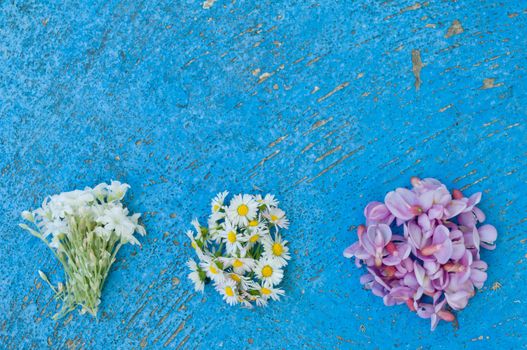 Small bunches of different flowers on an old textured light blue background flat lay top view turquoise background