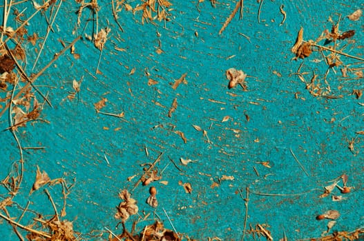 Old light blue textured background with pieces of dried plants turquoise background vintage