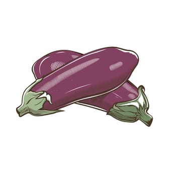 Eggplants in vintage style. Line art illustration.