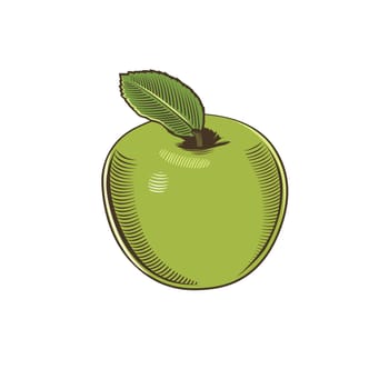 Apple in vintage style. Line art illustration.