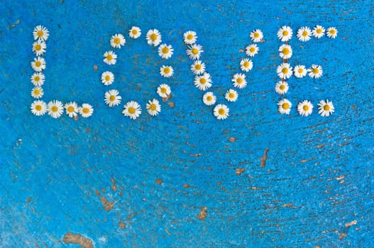 The word Love written of daisy flowers on textured blue background, top view