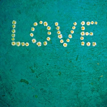 The word Love written of daisy flowers on textured blue background, top view