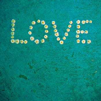 The word Love written of daisy flowers on textured blue background, top view