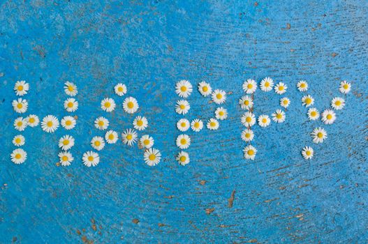 The word Happy written of daisy flowers on a textured, aged, light blue background. top view with copy space