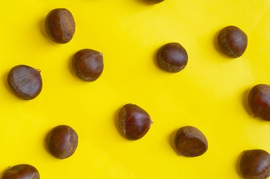 Chestnuts pattern on yellow background, top view, chestnut, castanea