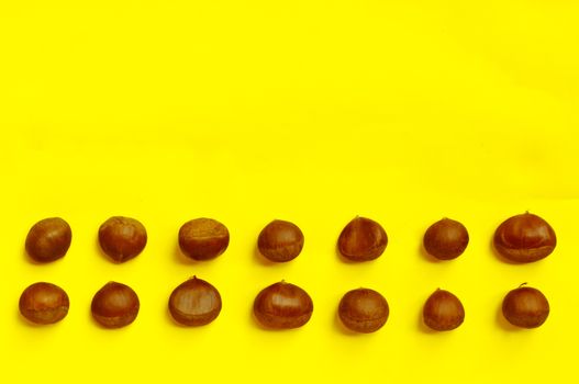 Chestnuts pattern on yellow background, top view, chestnut, castanea