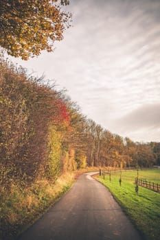 Countryside road passing through a rural environment in the fall with colorful trees in autumn colors on a day in ocotber