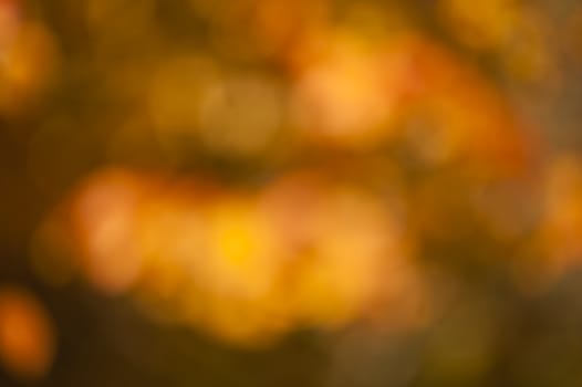 Blurred background of orange and yellow autumnal leaves