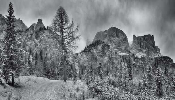 Mountain path through the forest with peak of Sella Group in the background, Alta Badia - Dolomiti