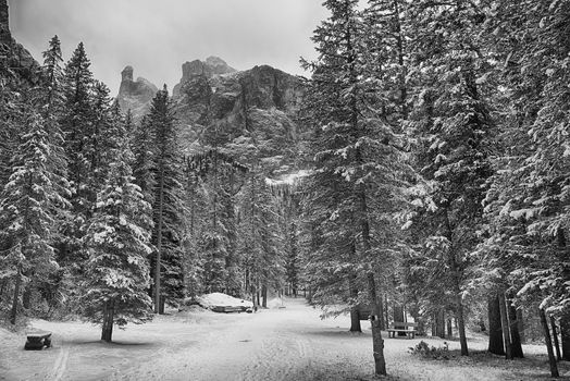 Forest between the villages of Corvara and Colfosco in the winter season with Sella Group in background