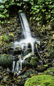 A small waterfall in the forest and moss.