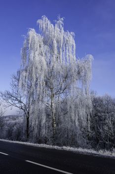 Fairytale winter landscape in the Czech Central Mountains