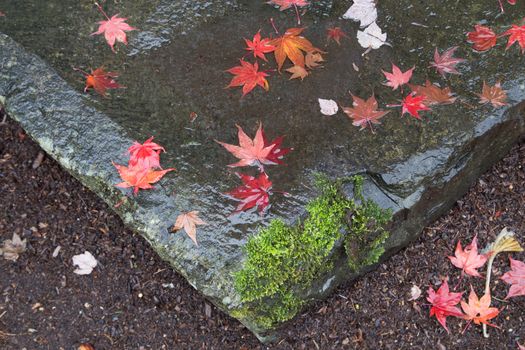 Fallen red leaves on a garden rock