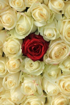 Red rose in a white wedding arrangement