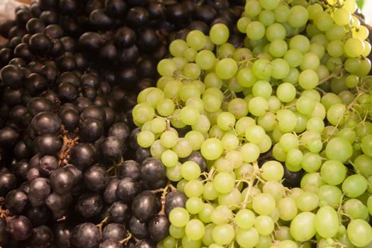 Background of blue and green grapes, stock photo