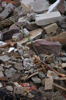 Bricks in a dumpster near a construction site, home renovation