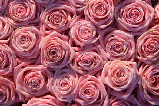 Pink roses in a floral wedding arrangement