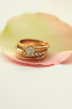 Three wedding rings on a rose petal