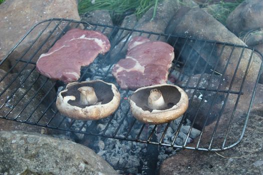 Mushrooms and steak cooking on an open fire