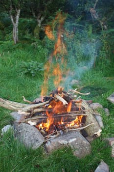 Bright Orange Flames in an open fire