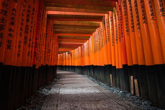 Thousands of torii gates at Fushimi Inari Shrine in Kyoto, Japan