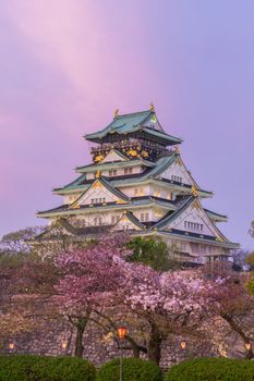 Osaka castle and sakura