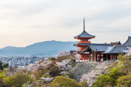 Kiyomizu dera temple in spring